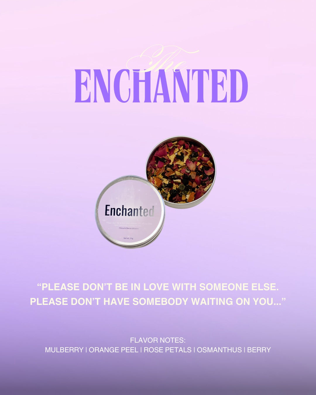 Enchanted | Hidden Tracks